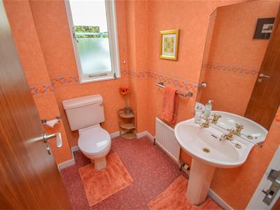Picture 11